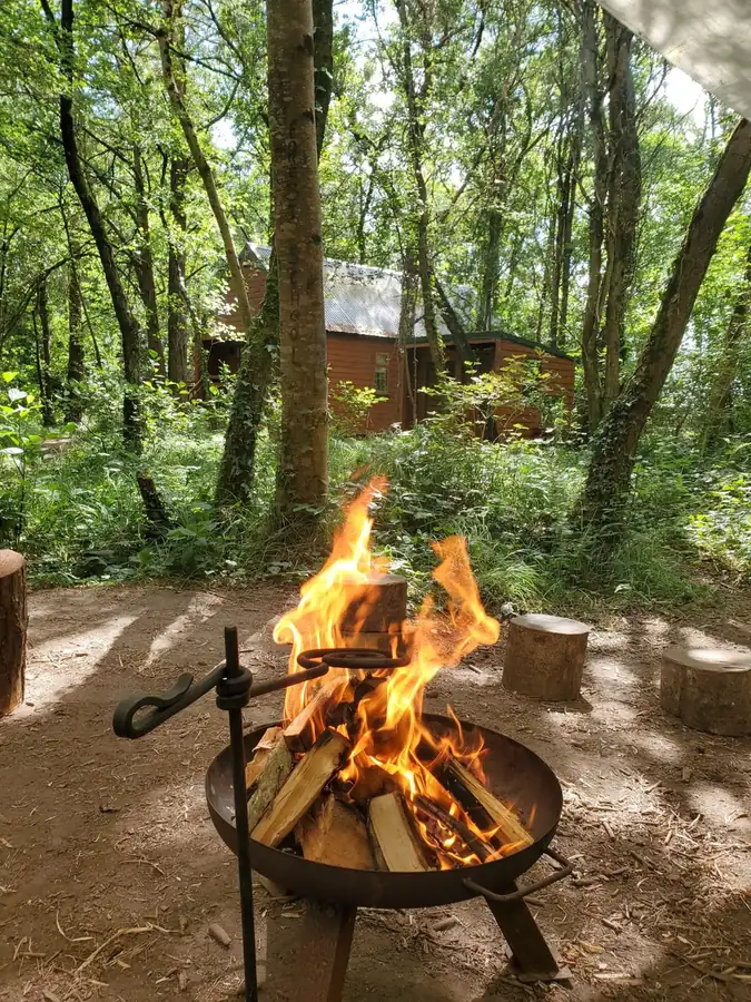 Forest School Cloughjordan activity