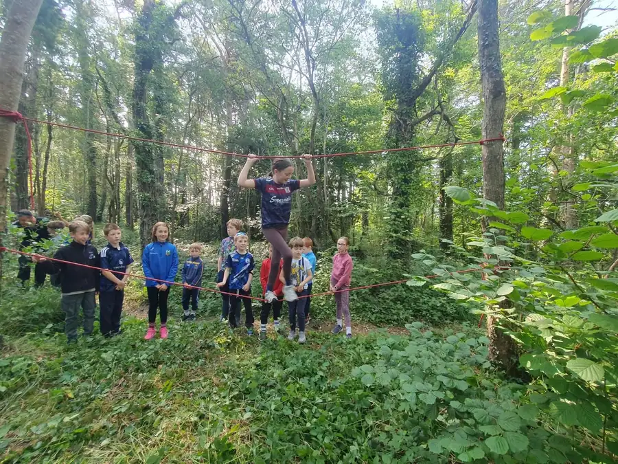 Rope challenge in the woodland